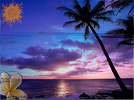 Tropical Summer