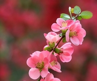 Spring...