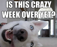 Is this week over yet