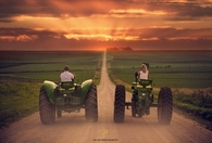 Country love