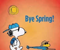 Bye Spring