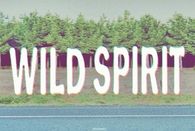 wild spirit