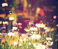 Hello Summer