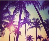 Tropical Sunset