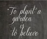 to plant a garden