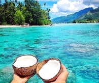 Tropical Coconut