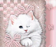 Winking Kitty