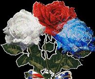 Red, White & Blue Roses