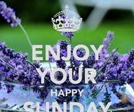 Happy Sunday Morning