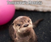 Tomorrows Monday