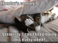 Mondays coming