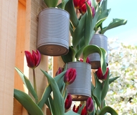 Tin Can Garden