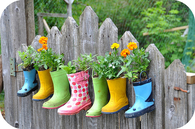 Garden Boots