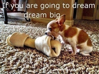 If you are going to dream, dream big