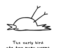 The early bird