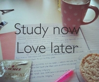 Study now, love later