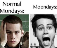 Normal mondays