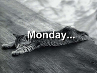 Monday