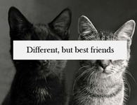 Different but best friends