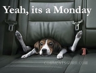 Yeah its a Monday