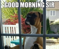 Good Morning Sir