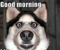 Good Morning, I like coffee