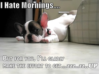 I hate mornings