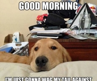 I just gonna wag my tail against noisey stuff because I love you