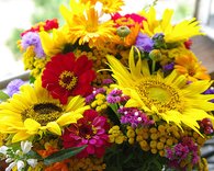 Beautiful Bright Flowers
