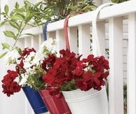 Red, White & Blue Bucket Planters