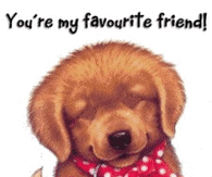 You're my favorite friend