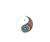 Retro Ying Yang