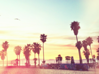 Summer Photography