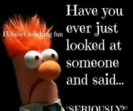 have you ever