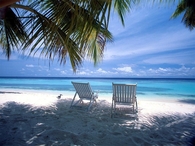 Perfect Vacation