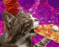 Trippy Cat Eating Pizza