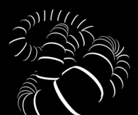 Mesmerizing Animation