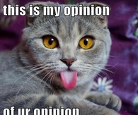 My opinion