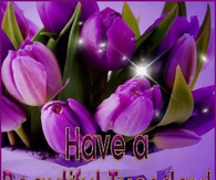 Have a beautiful Tuesday