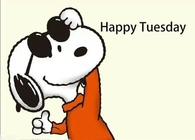 Happy Tuesday