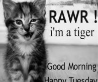 Good Morning Tuesday