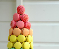 Macaroon tree