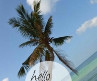 Hello Summer