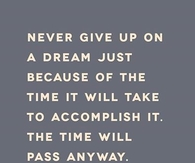 Never give up on a dream because of the time it will take....