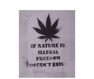 NAture Illegal