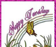Happy Tuesday