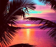 Amazing tropical Sunset