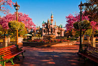 Disney castle 