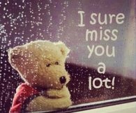 I Sure Miss You A Lot
