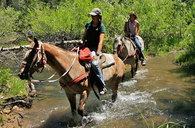 Summer Horse back riding trails sounds Fun
